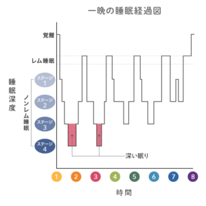 深部体温の説明グラフ１