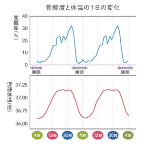 深部体温の説明グラフ１