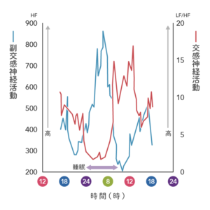 自律神経の説明グラフ２